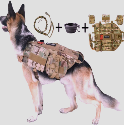 Reuben Wolff Baptiste